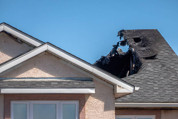 Top rated local Fire Damage Assessment specialists in Columbus, MN